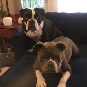 Meet your Posher, Ranell